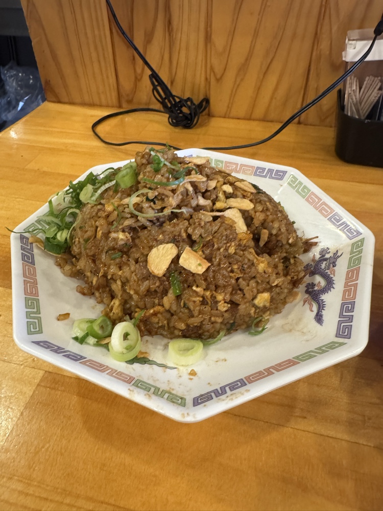 世界のチェ・タケダ ニンニク炒飯