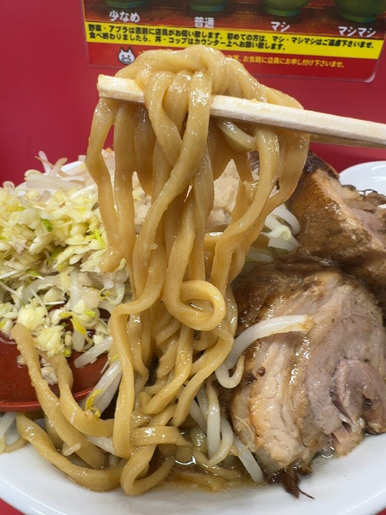 立川マシマシ 長岡店 中ラーメン 豚マシ